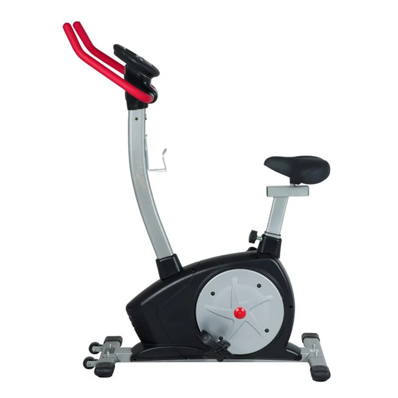 Bicicleta Modelo 1300