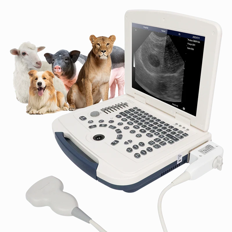 Ultrasonido veterinario portátil VU10