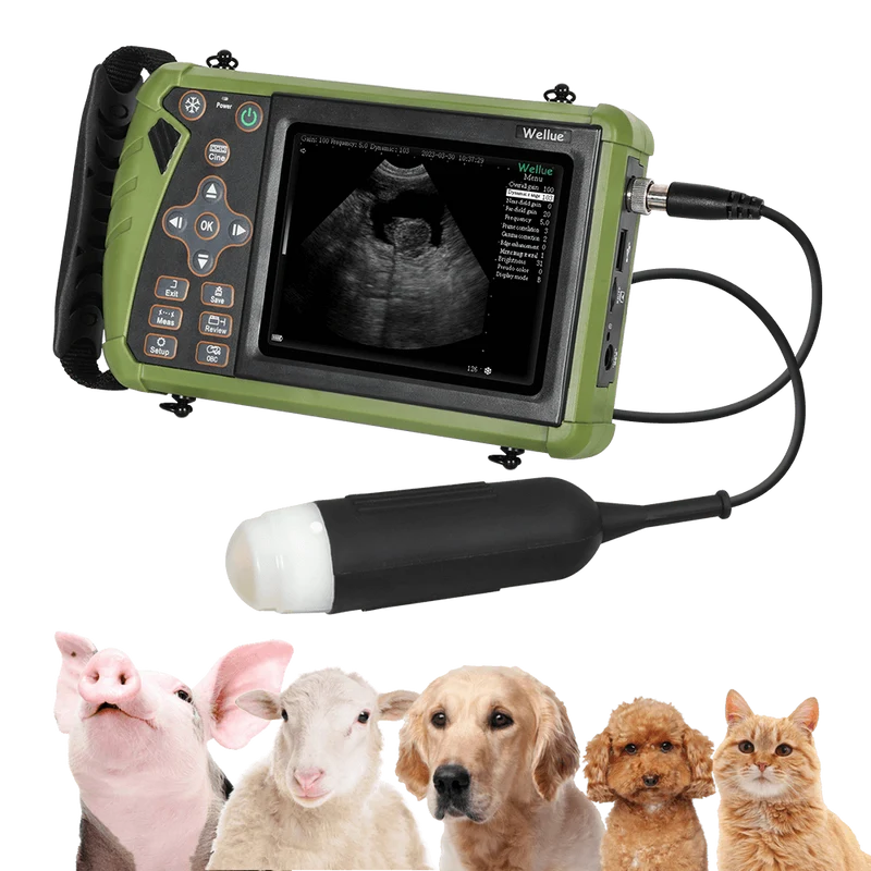 Ultrasonido Veterinario Portátil S0