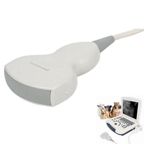 Sonda de ultrasonido veterinaria para computadora portátil VU10