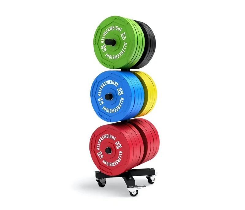 RACK DE DISCOS BUMPER VERTICAL