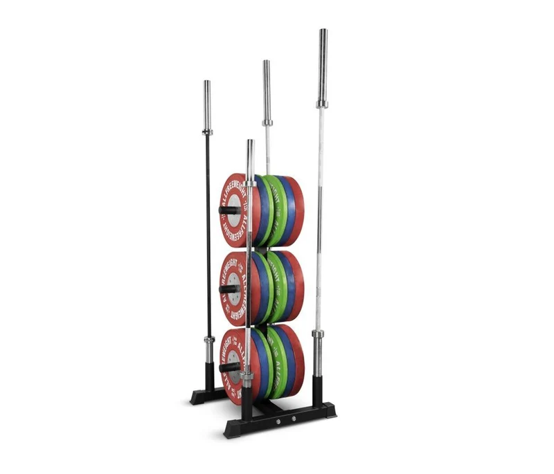 RACK DE DISCOS Y 4 BARRAS